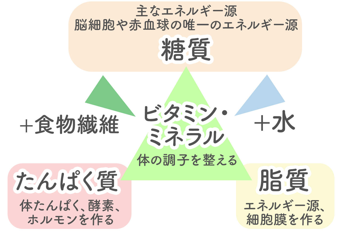 5つの栄養素