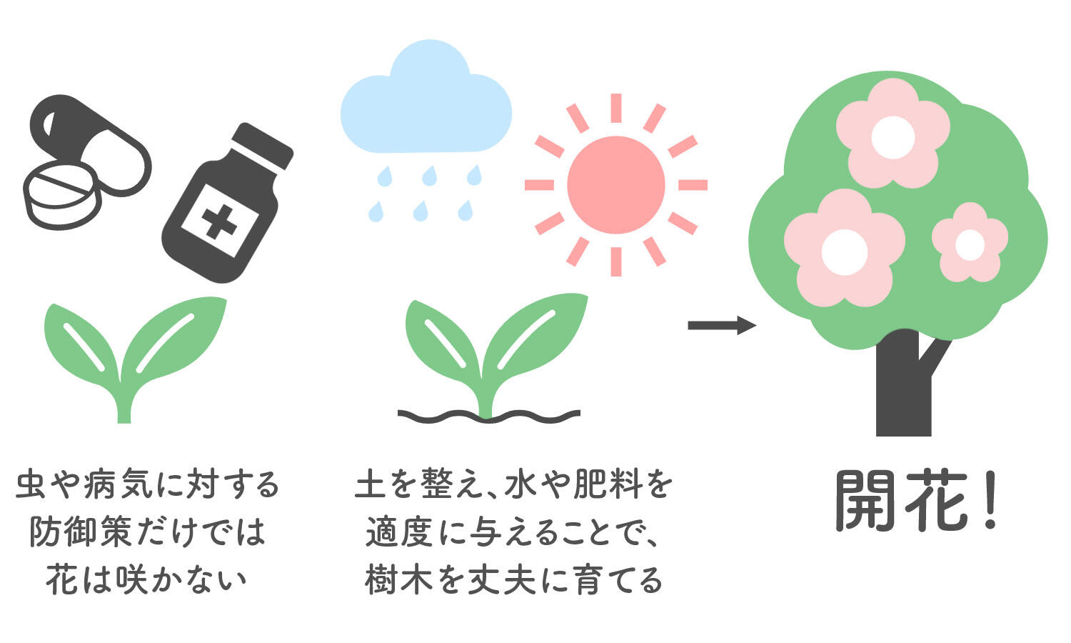 樹木にきれいな花を咲かせるには、土を整えて水や肥料を適度に与えることで、樹木自体を丈夫に育てて花をつけられるようにすることが重要