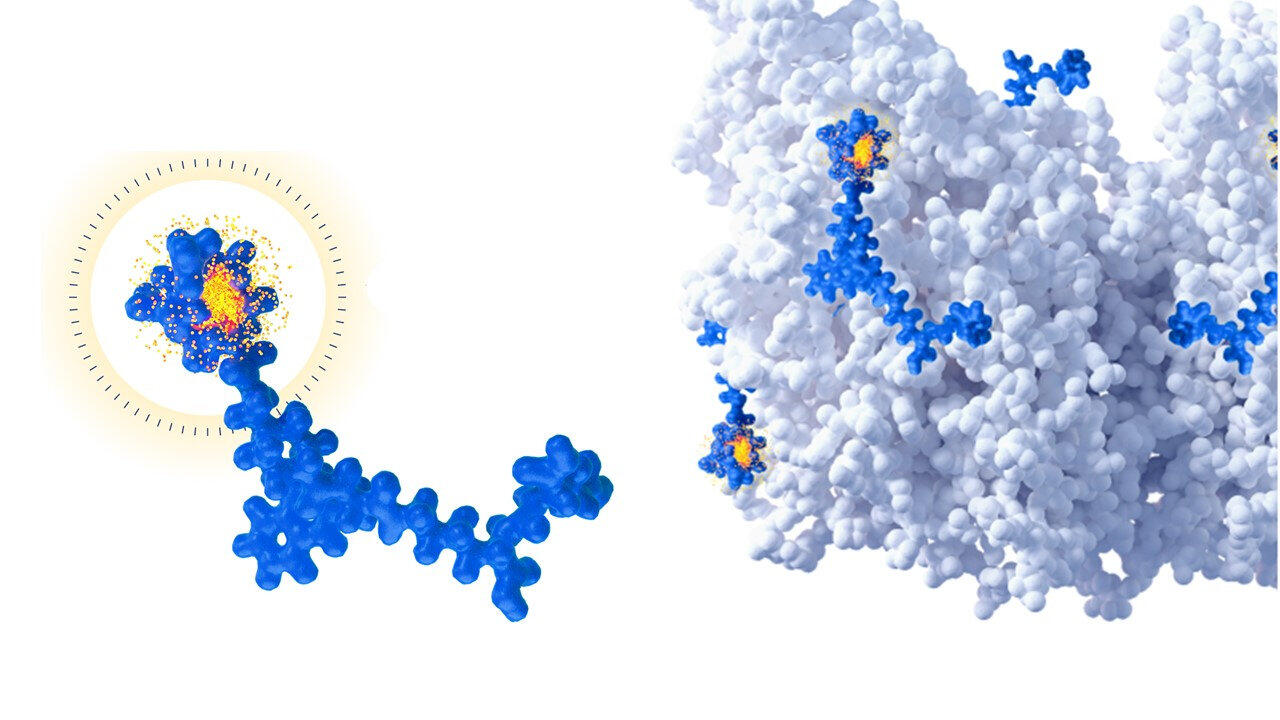 ルタテライメージ